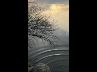 Video by Платная рыбалка в Мамаевке