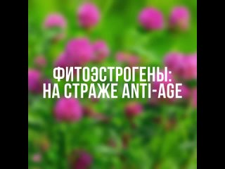 Фитоэстрогены на страже ANTI-AGE