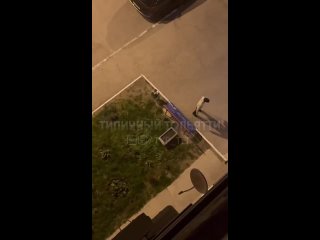 Відео від Происшествия Тольятти (ЧП, ДТП)