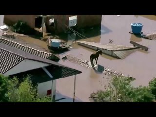 Лошадь простояла на крыше дома несколько дней из-за наводнений в Бразилии