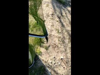 Видео от Рыбалка в Константиновке Симферопольский район