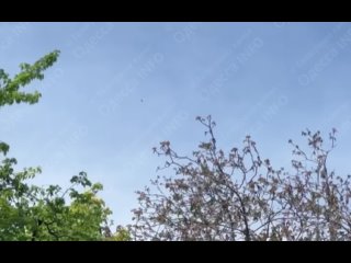 Над Одессой летает БПЛА Орлан-10, листайте дальше