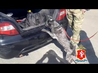 Видео от Live Кировград Невьянск