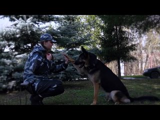 Видео от ОМВД России по г.о. Чехов| Полиция Чехова