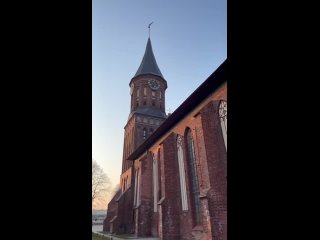 Видео от Светланы Данченко