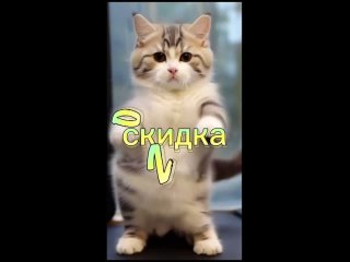 Видео от Магнит-Косметик г. Псков, улица Труда, 47