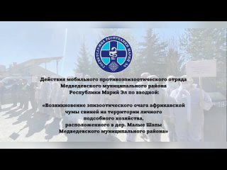 Действия мобильного противоэпизоотического отряда Медведевского муниципального района Республики Марий Эл