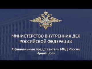 Ирина Волк:Пресечена деятельность группы, совершавшей махинации с материнским и земельным капиталами