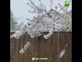 Снегопады с метелями в Москве закончатся только послезавтра, 10 мая, и начнётся потепление