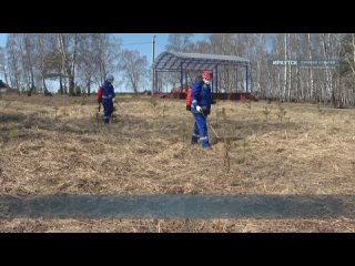 На зеленых территориях в Иркутске проведут противоклещевую обработку