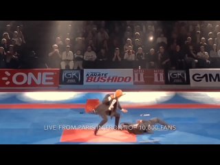 Roy Elghanayan Krav Maga Demo in front of 10,000 Fans  (Full Paris Show) (720p) (via Skyload)