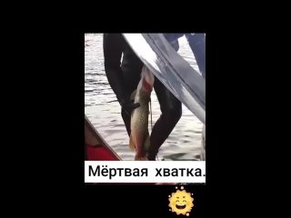 Туризм РФtan video