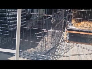 Видео от Помощь фронтовым кошкам “Кошкин Дом Донецк“