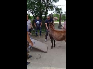 Видео от Храм Рождества Пресвятой Богородицы с. Львовское