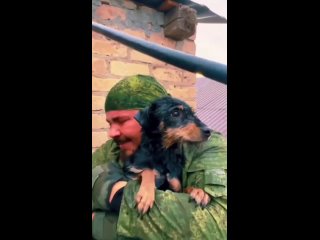 Спасение собаки в доме во время наводнения в Оренбургской области [ND]