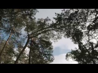Видео от Оксаны Орловской