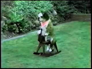 AFV - Season 3 - America's Funniest Pets - January 1, 1992