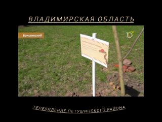 Телевидение Петушинского района Новости май