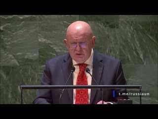 Василий Небензя на заседании Генассамблеи ООН по использованному в Совбезе праву вето по положению на Ближнем Востоке
