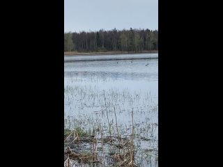 Видео от Красивый Светлый