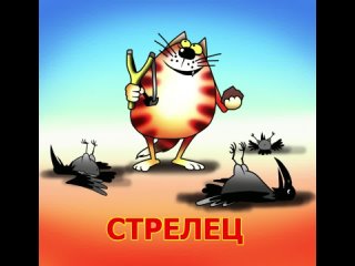 Стрелец