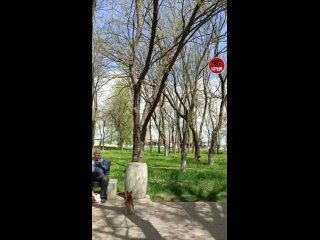 Крым ЧПtan video
