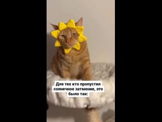 теперь ты видел все