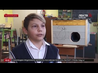 Школьники Гатчинского района строят домики для бездомных кошек