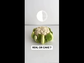 Торт или нет