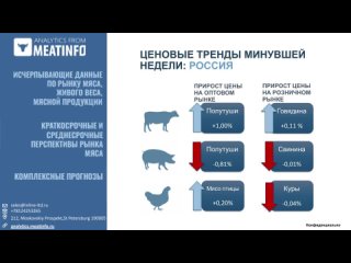 Российский и мировой рынок мяса. ОБЗОР ЦЕН 🥩