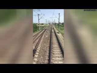 В Дагестане 15 летняя девушка шла по рельсам в аирподсах и не услышала приближающийся локомотив