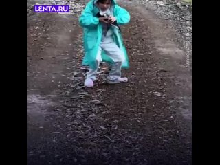 Да, иногда животные лучше людей 😊👍🏻 - Алексей Лапицкий