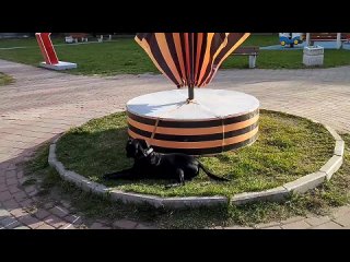 Dogs Training Зоопсихолог  Жил Был Кинолог  Моя Жизнь Кино  Документальный Многосерийный Фильм  Музей Псов