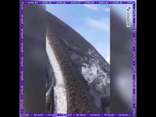 Восстание зловещих мертвецов комаров и мошек произошло в одном из российских городов.  Страшные кадры сняты в Югре.... (видео)