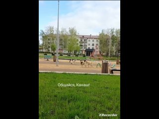 Video by Общайся, Канаш! (Чувашия)