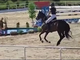 Видео от ПРОДАЖА ЛОШАДЕЙ | HORSES FOR SALE