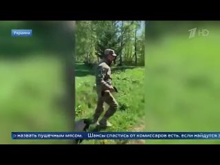 На Украине сотрудники военкоматов против тех, кого принято назвать пушечным мясом
