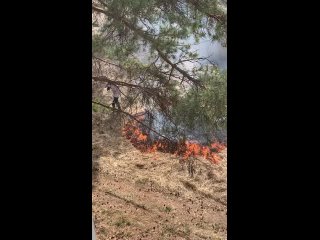 Видео от Подслушано  Саянск