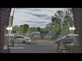 Видео с момента нападения на девочку в Люберцах