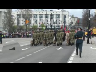 Пермскую золушку нашли на параде  Девушка во время шествия потеряла туфельку, но не стала на это обращать внимание и ломать ст