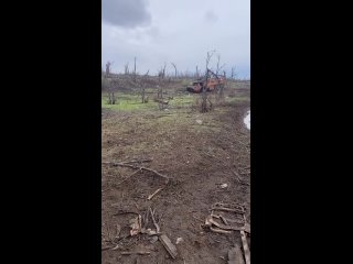 Уничтоженный на Запорожском направлении украинский бронетранспортер VAB (4х4), полученный из Франции в качестве военной помощи