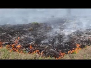 Трава загорелась на одном из островов на Каме в Сарапуле