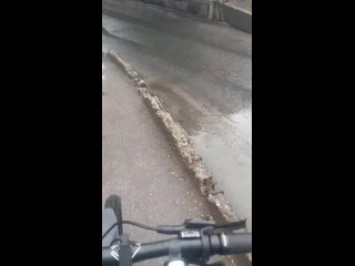 Грузовик разорвало пополам после встречи с мостом глупости - видео от ДТП и ЧП  Санкт-Петербург
