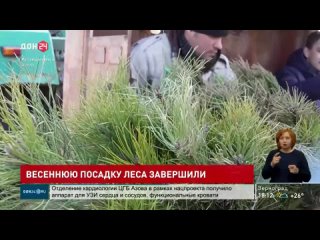 В Ростовской области восстановили 1900 га леса