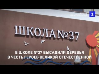 В школе №37 высадили деревья в честь Героев Великой Отечественной