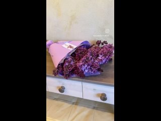 Video by Цветы в каждый дом в Туле от Oleander _flowers