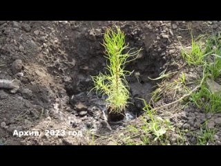 Видео от Школа РАССВЕТ - футбол, хоккей,фигурное катание.