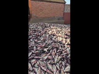 Видео от “Серега“ рыбалка в Туле и Тульской области