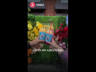 Картинки со смыслом или без... (видео)