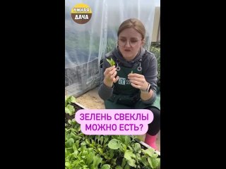 Video by Умная дача